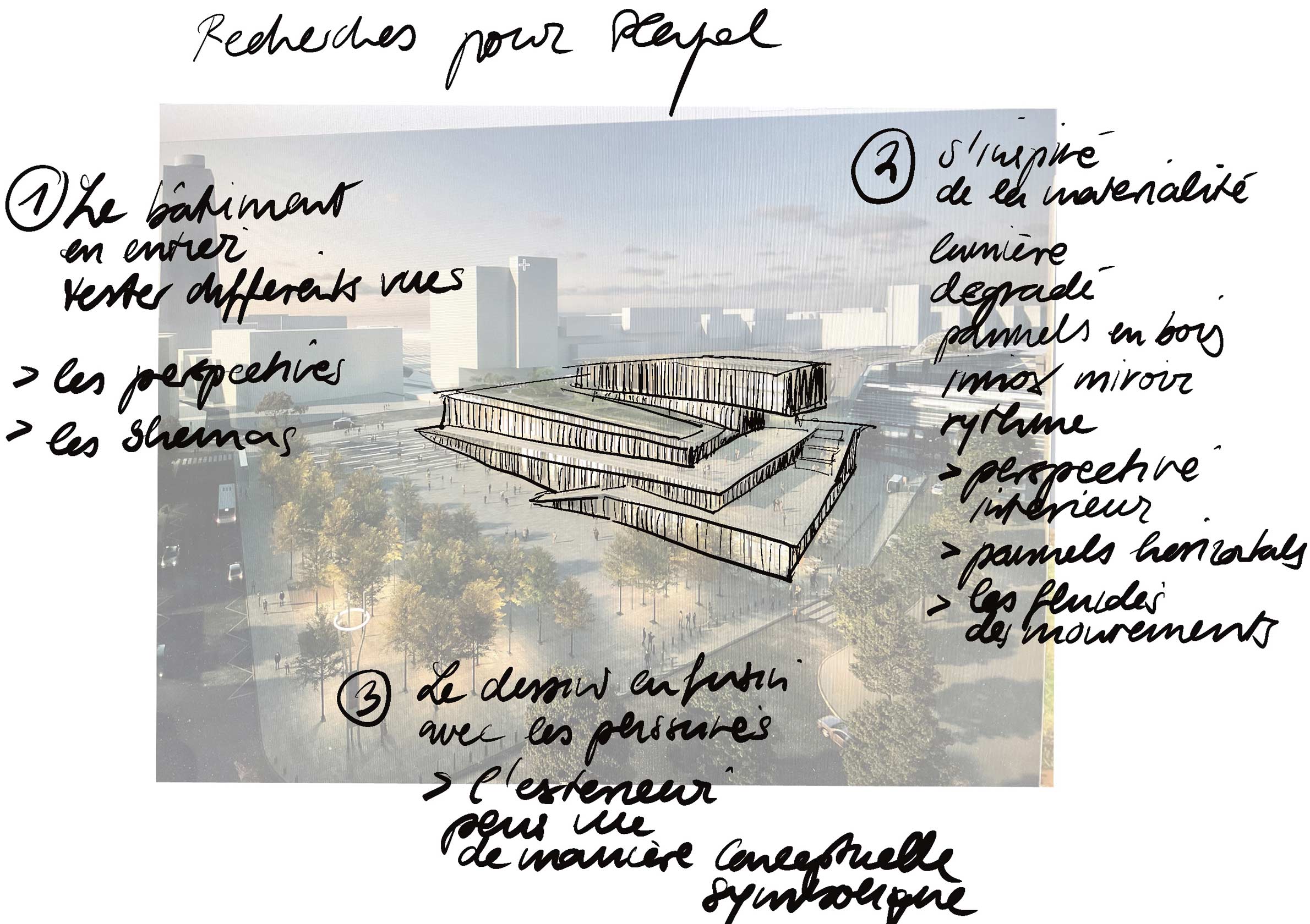AWA_POPPY_14_PLEYEL_ILLU_1