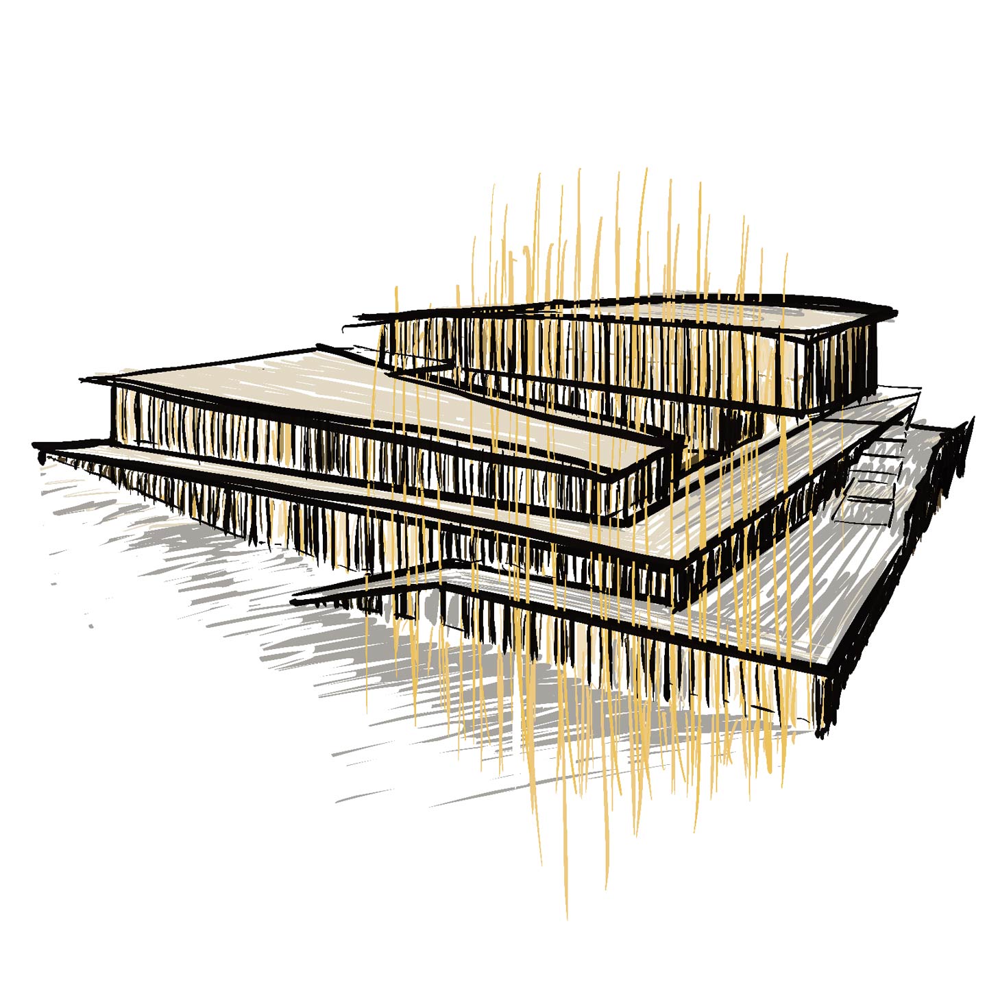 AWA_POPPY_14_PLEYEL_ILLU_2