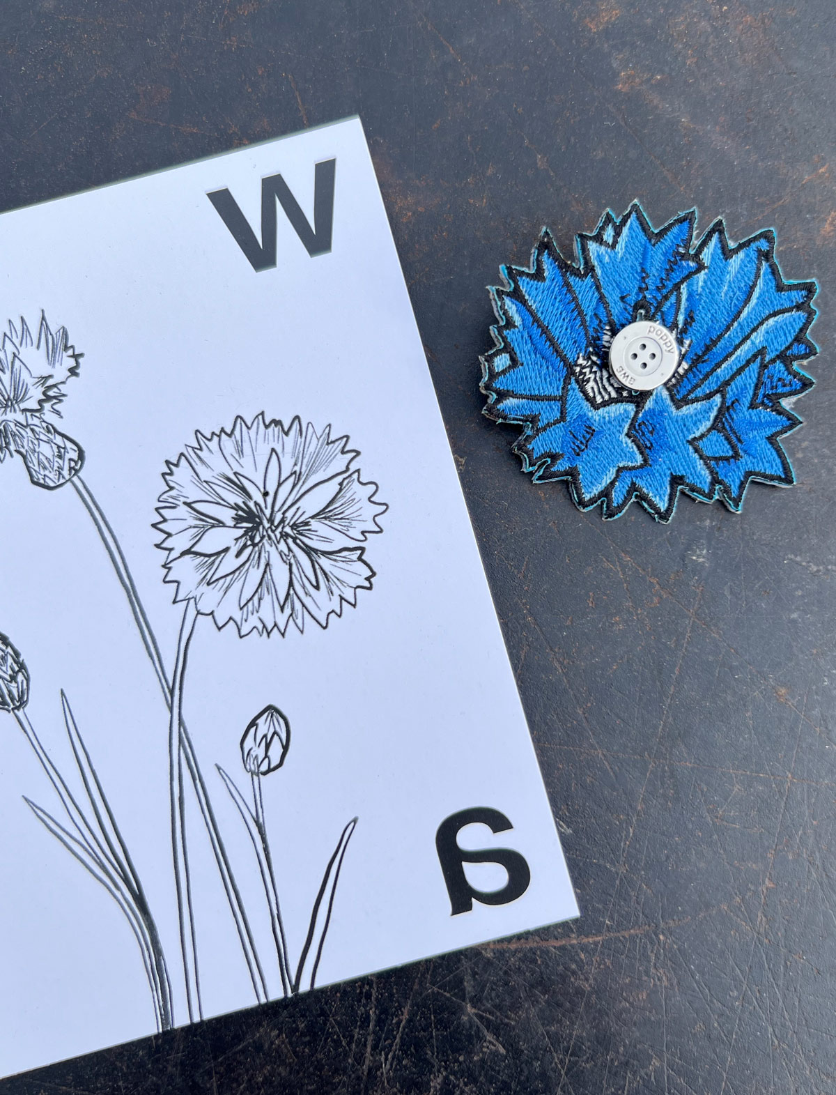 AWA_POPPY_BLEUET_CTE_SIDE_WEB