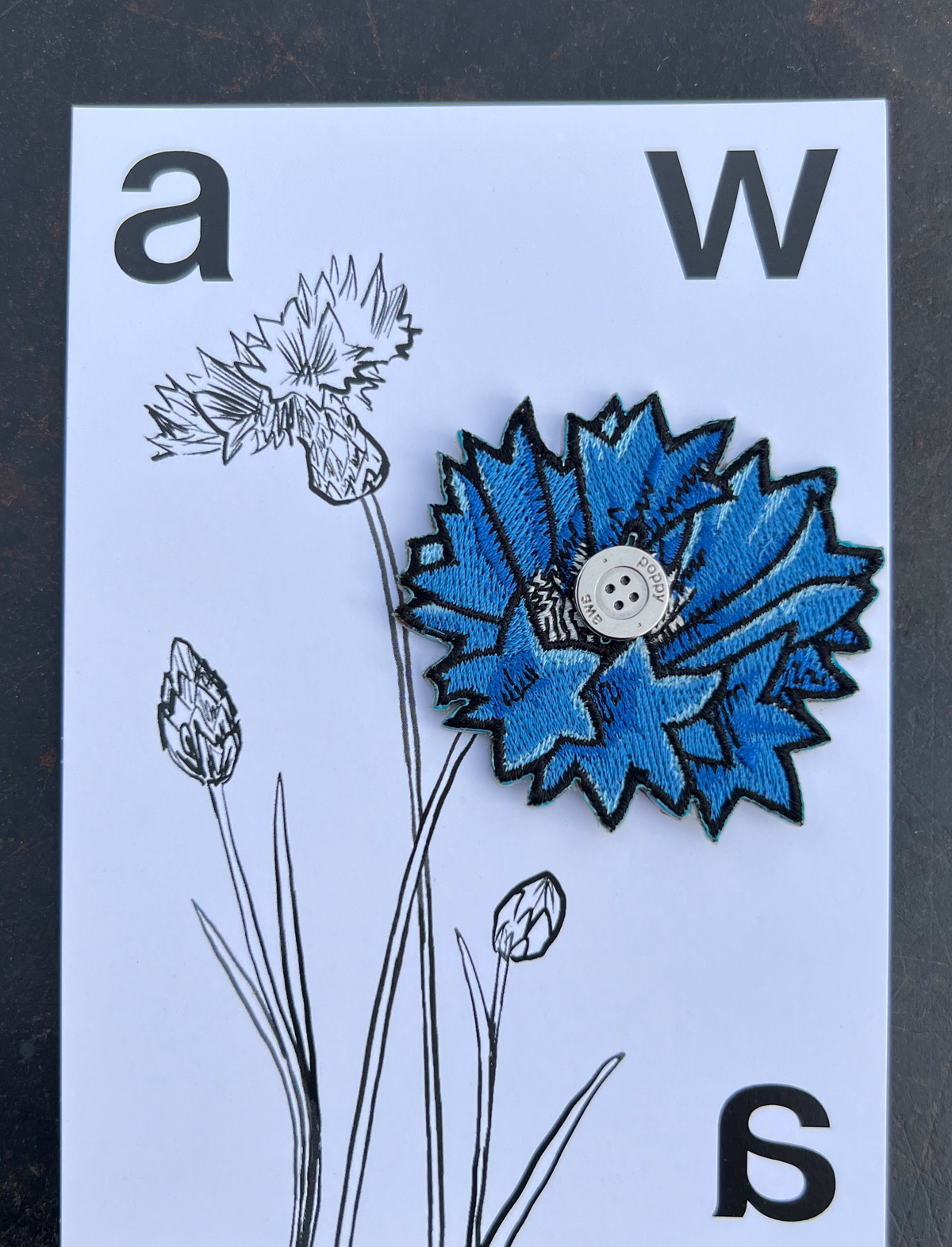 AWA_POPPY_BLEUET_CT_WEB